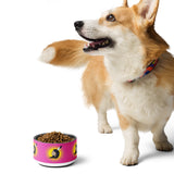 Warrior Women Flag Print Pet Bowl