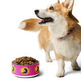 Warrior Women Flag Print Pet Bowl