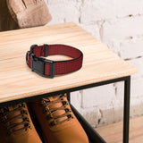 Three Tipis in Red Pet collar