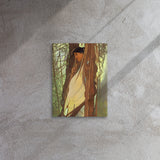 Indigenous Goddess Gang - Giizhik - Canvas Print