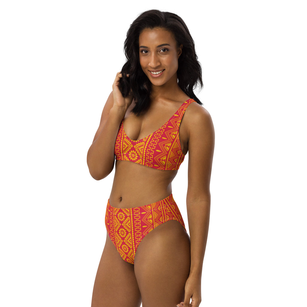 Plus Size Aztec Tiger Snake High Waist Printed Bikini With Fringe