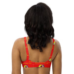 Absentee Shawnee of Oklahoma - Padded Vixen Bikini Top